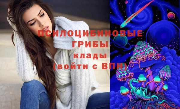 соль ск Липки