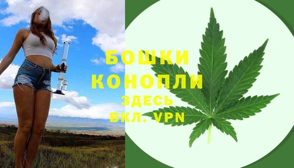 PSILOCYBIN Магадан