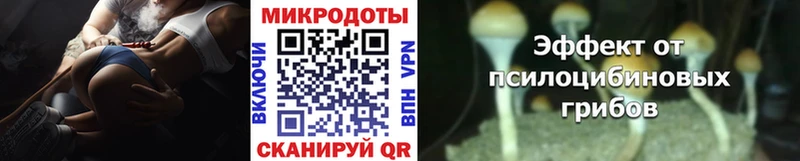 сколько стоит  Дрезна  Псилоцибиновые грибы Cubensis 